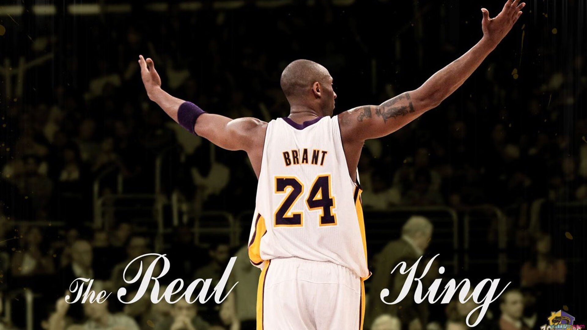 _极夜冰川滑雪：在北极光中疾驰_，北极光滑雪场