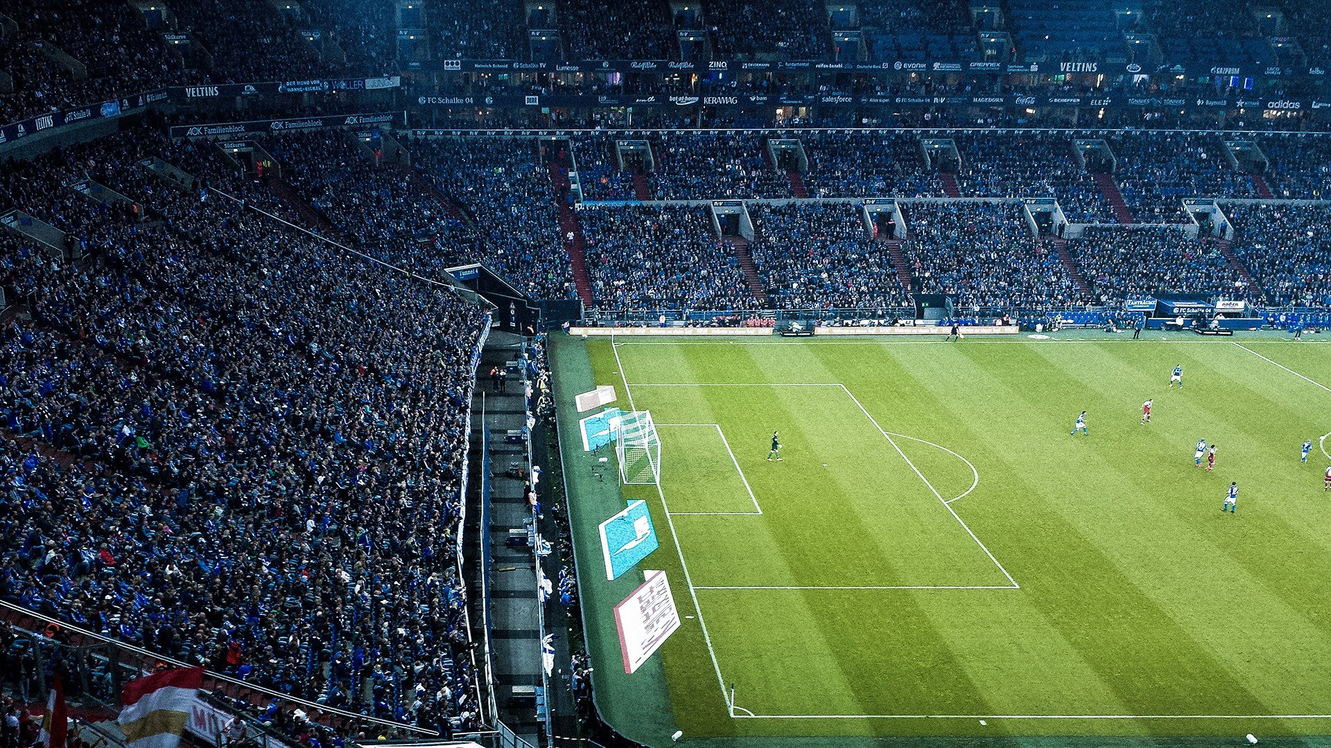 开云体育官网下载安装-_未来体育馆国际巡展：科技打造极致体验_，未来的体育馆图片